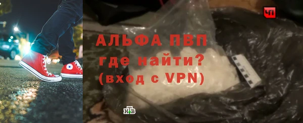 дживик Вязьма